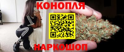 стаф Бугуруслан