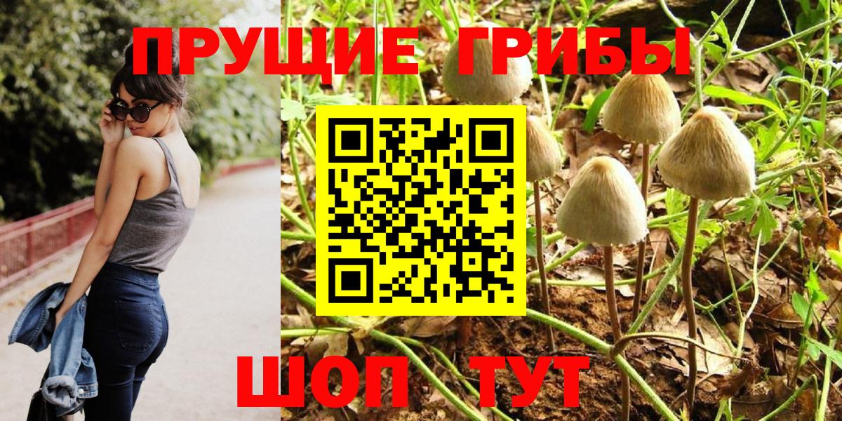 Кондопога  Галлюциногенные грибы Cubensis  Псилоцибиновые грибы MAGIC MUSHROOMS  Вход с VPN 